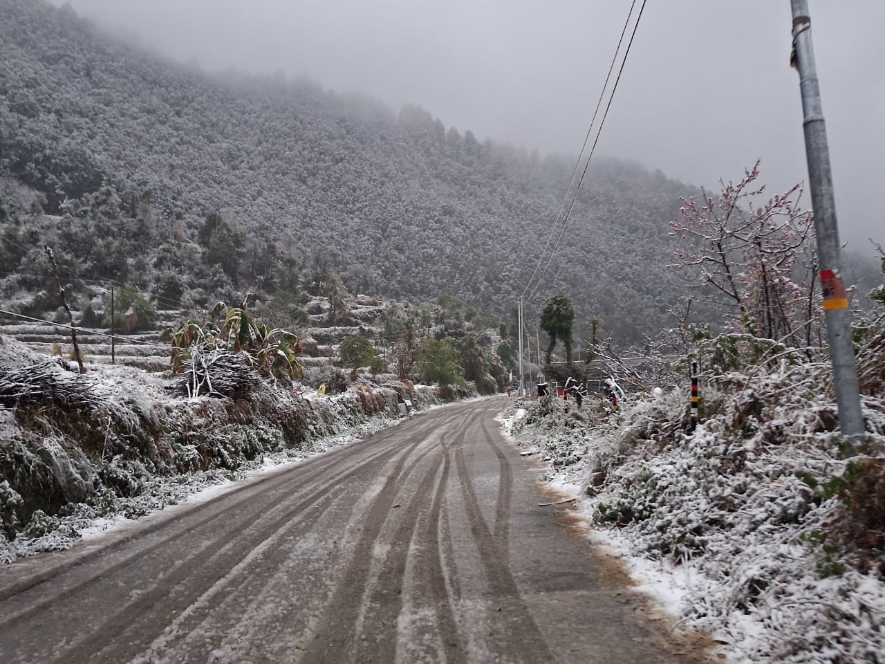 Village road in snowfall 2026
